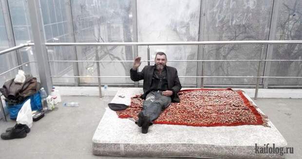 Приколы про ковры (45 фото)