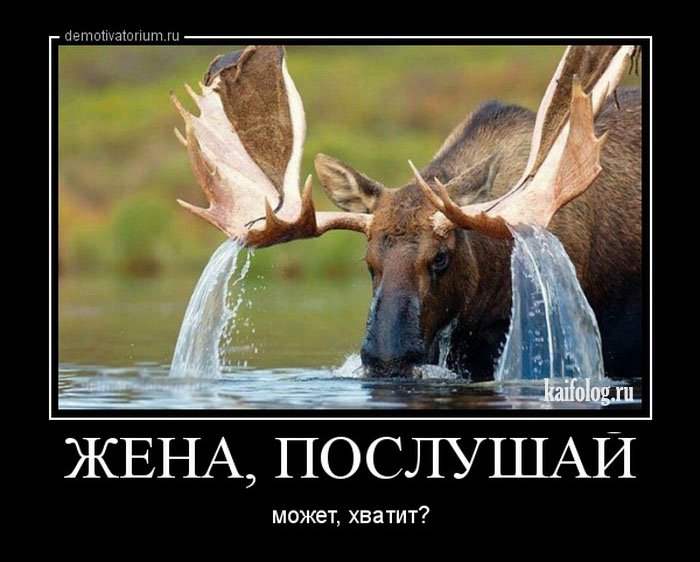Смешные демотиваторы - 252 (55 демотиваторов)