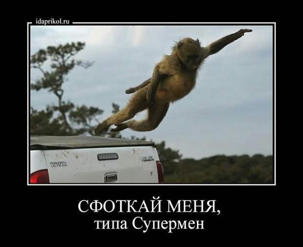 Демотиваторы демотиваторы