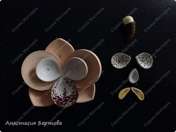 Картина панно рисунок Мастер-класс Квиллинг По секрету всему свету Бумажные полосы Клей Пастель Проволока фото 30
