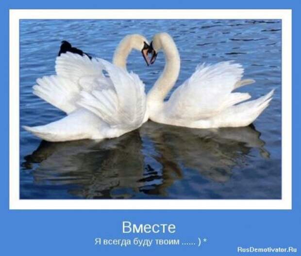 Картинки мотиваторы интересные цитаты.