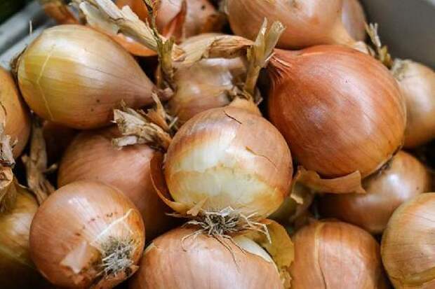 За сбор луковой шелухи в магазинах могут оштрафовать