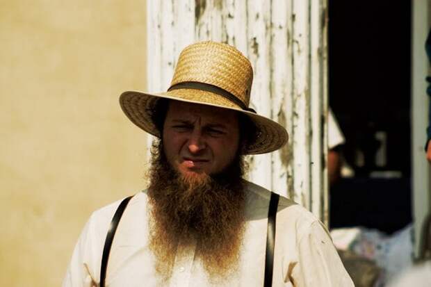 15 интересных фактов об амишах - одном из самых известных религиозных меньшинств