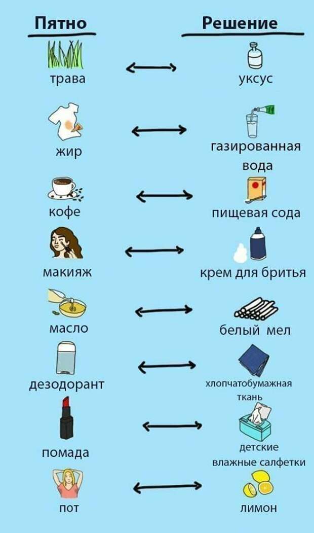 Наглядные шпаргалки для любителей чистоты и порядка Наглядные шпаргалки для любителей чистоты и порядка