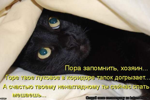 Мысли вслух :)