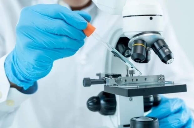 В Китае разработали необычное средство против болезни Альцгеймера