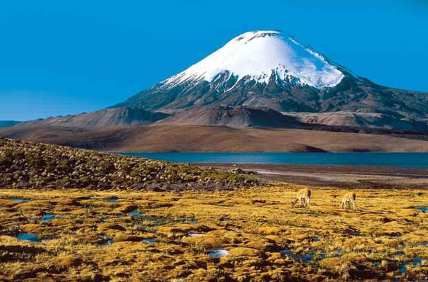 Чудеса природы: Вулкан Охос-дель-Саладо (9 фото)