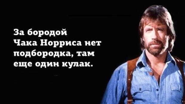 Сегодня Чак Норрис празднует свое 76-летие (19 картинок)