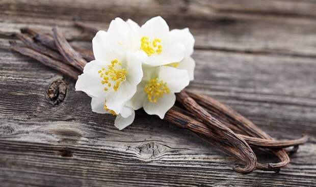 Ароматы, которые точно покупать не стоит: они не нравятся мужчинам