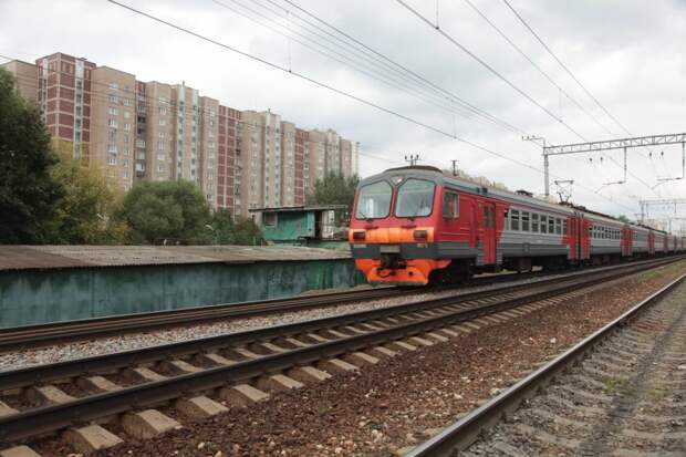 Обзор звонков читателей «Севера столицы» с 19 по 25 августа / Андрей