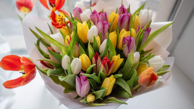 Александр Беглов и Александр Бельский поздравили петербурженок с 8 марта