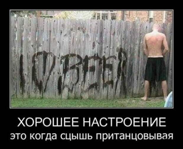 Демотиваторы, юмор дня, фотки с прикольными подписями.