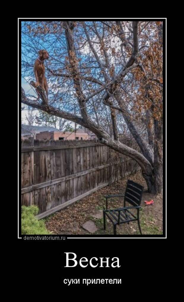 Новый сборник демотиваторов (28 шт)