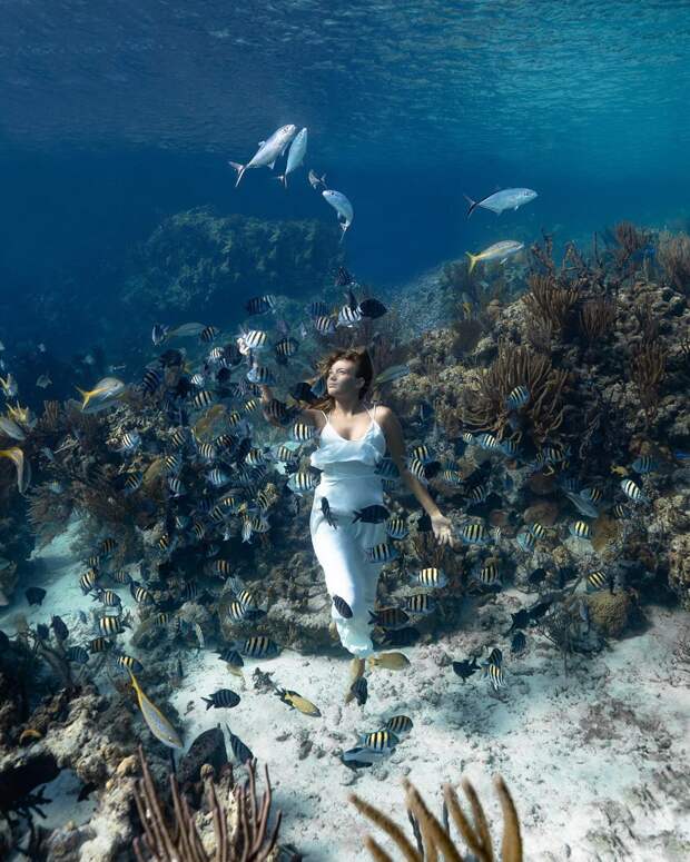 Андре Масгроув (André Musgrove) и его невероятные подводные снимки