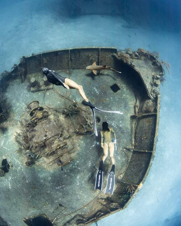 Андре Масгроув (André Musgrove) и его невероятные подводные снимки