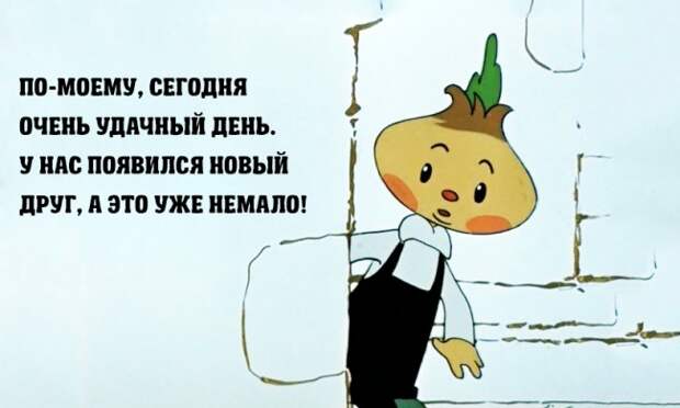 Правила жизни Чиполлино