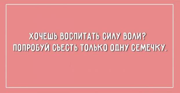 20 юморных открыток о правде жизни жизнь, открытки, юмор