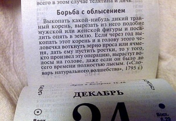 Народная мудрость. Настоящее торжество маразма!