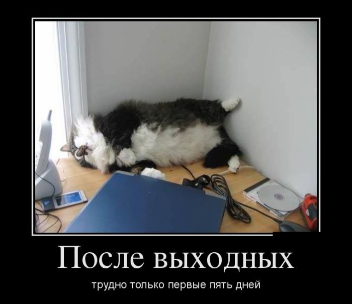Демотиваторы - 970 Демотиваторы - 970