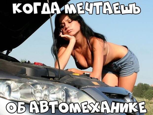 Автовсячина Автовсячина, авто, автомобиль, автоприкол, машина, прикол