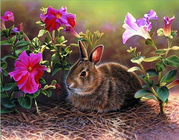 Флора и фауна в ярких картинах Russell Cobane (60 работ)
