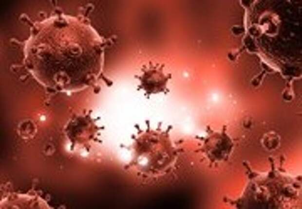 Чем опасен свиной грипп для человека