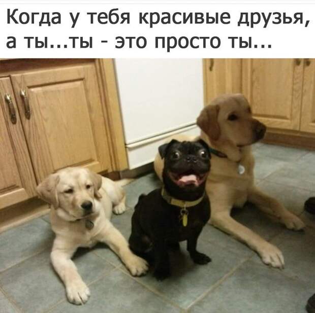 Свежие картинки и фотографии с надписью со смыслом (10 фото)