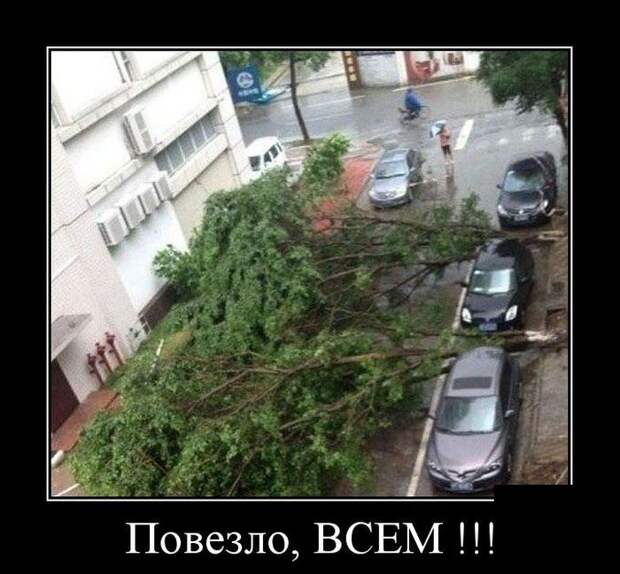 Демотиваторы (30 фото) Демотиваторы (30 фото)
