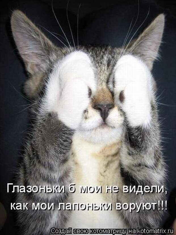 Мысли вслух :)