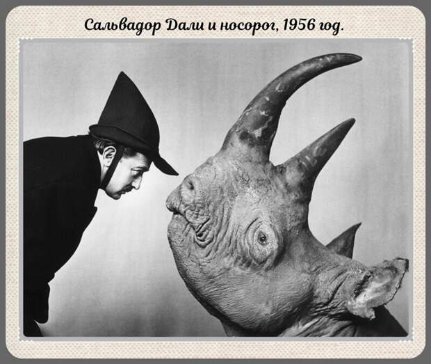 Фотографии прошлого, на которых история кажется ещё интересней