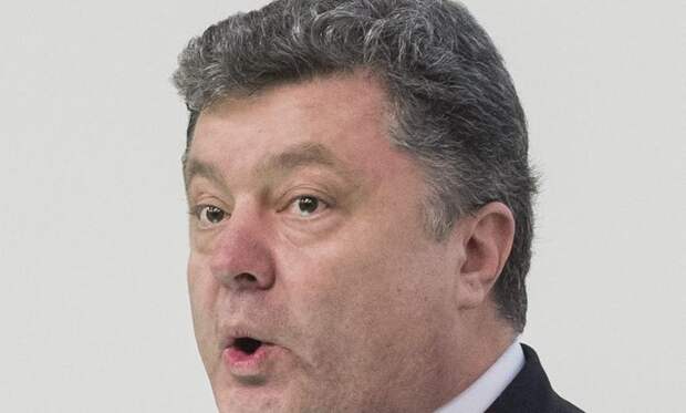 Украинская оппозиция обвинила Порошенко в срыве выборов в Донецкой области 
