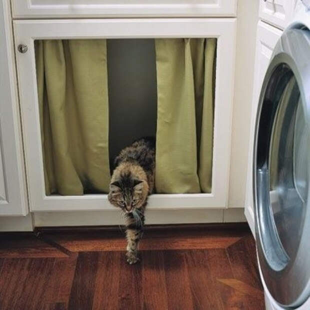 кошачий туалет
