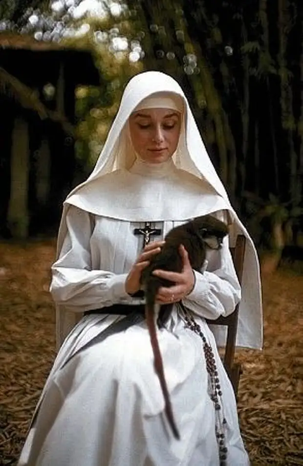 Монахиня картинки (49 фото)
