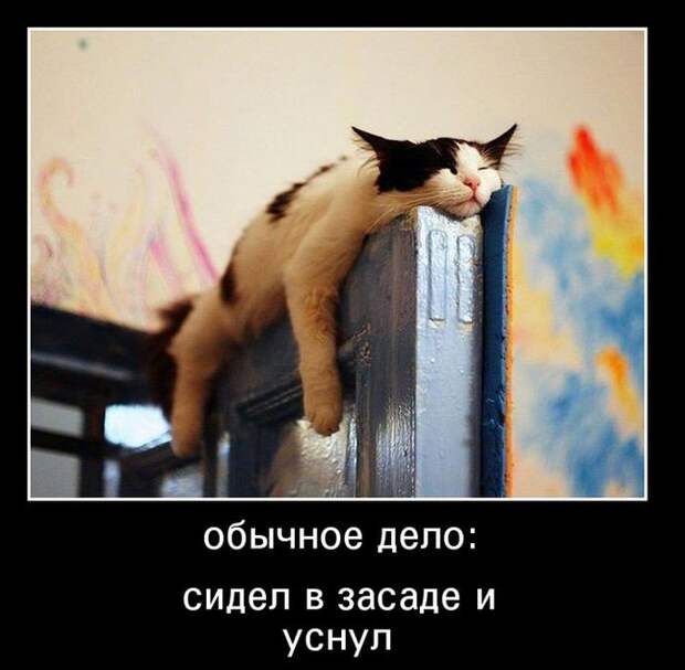 Пятничная подборка демотиваторов демотиватор, юмор