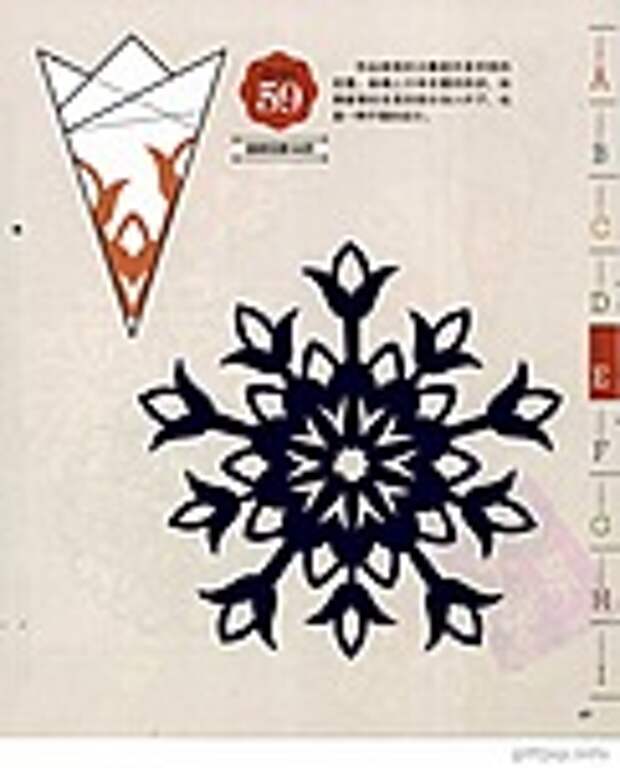 Сolorful cut - paper art 1