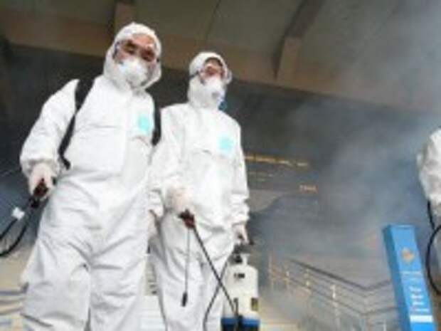 Насколько опасен новый коронавирус MERS?