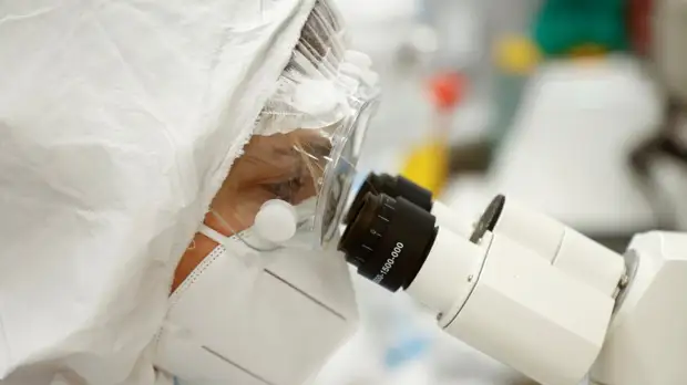 Более 74,2 млн тестов на коронавирус проведено в России