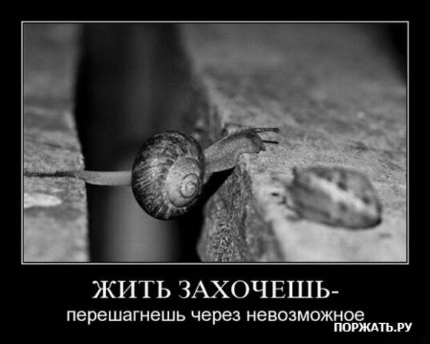 Демотиваторы по русски, очень остроумно.