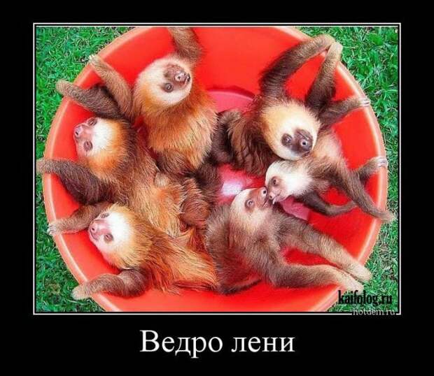 Черноватый юмор в подборочке демотиваторов
