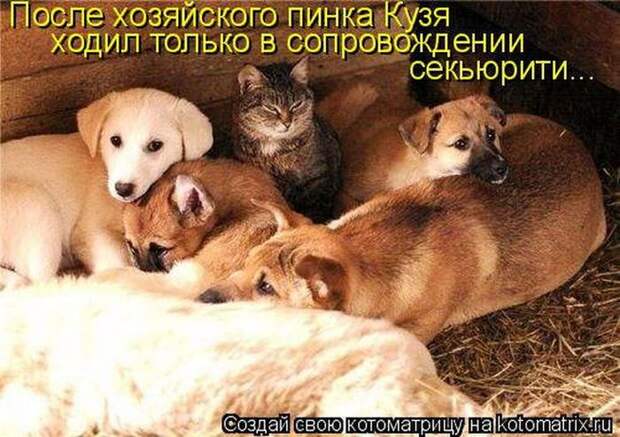 Мысли вслух :)