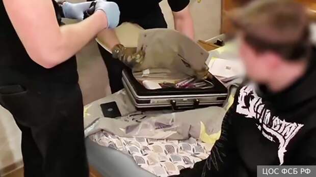 Украинский теракт против РКН преследовал четыре цели