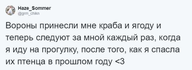 Lужчина четыре года кормил воронью семью и те принесли ему таинственный дар