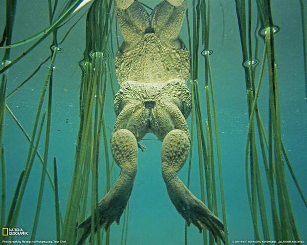 Мир в фотографиях от National Geographic