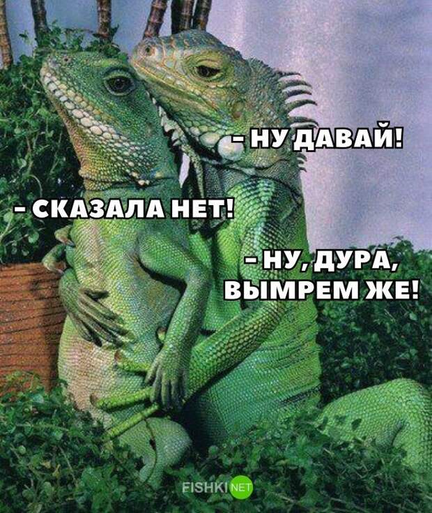 Картинки с надписями для настроения картинки с подписями, подборка, позитив, юмор