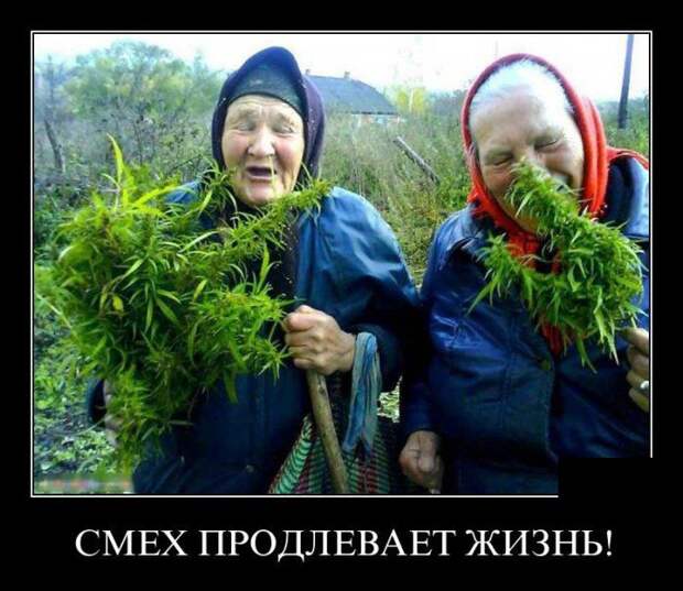 Демотиваторы (30 фото)