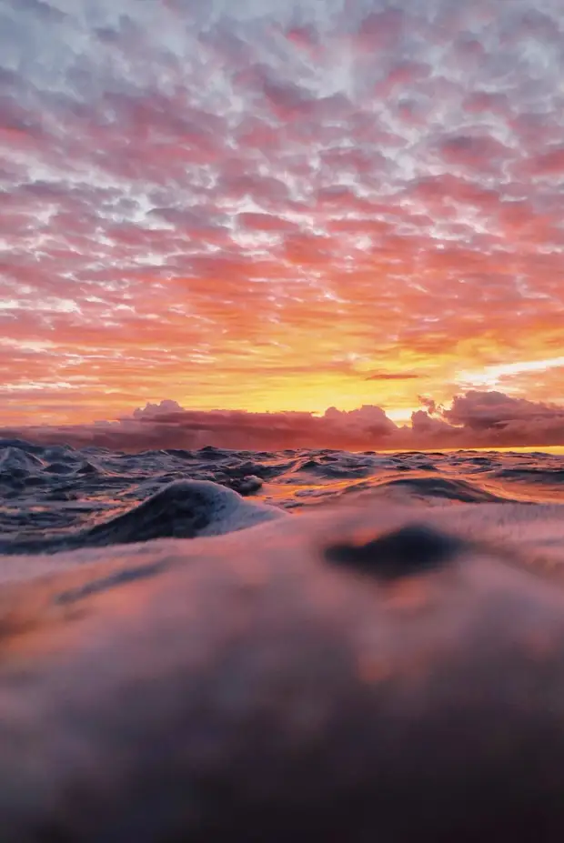 ��������� ������� ������� ����