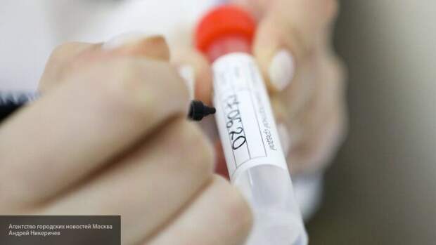 Рекордное количество смертей от коронавируса зафиксировано в Украине