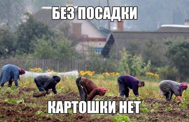 Подборка автоприколов. Часть 131 авто, автоприколы, приколы
