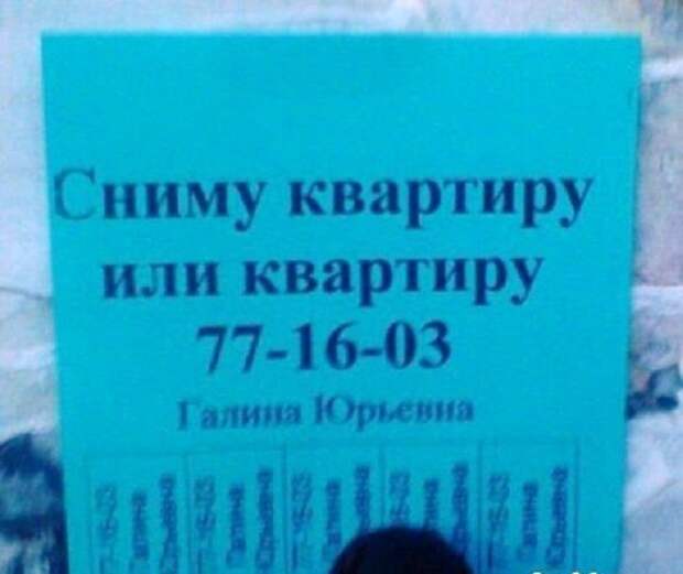 Боги аренды