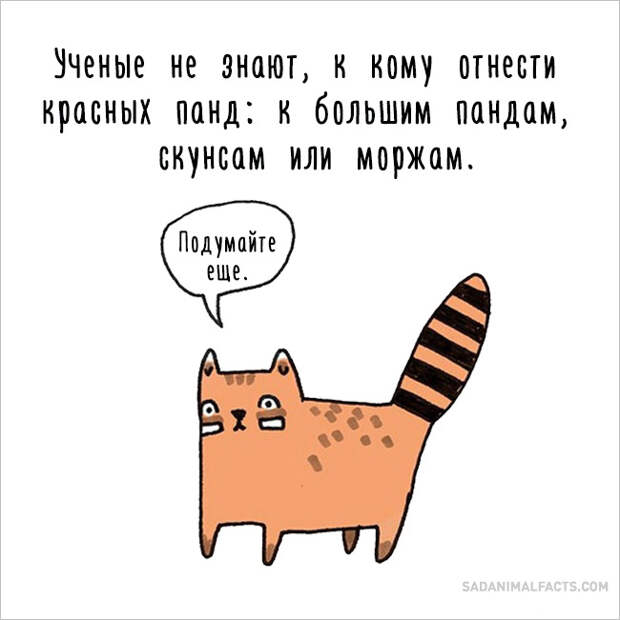 печальные факты о животных 